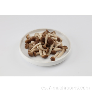 Frezen Fresh Cut Beech Mushroom-900g